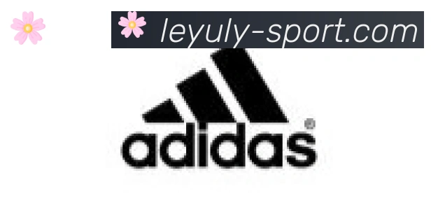 乐鱼体育官网合作伙伴